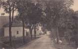 Lüdenscheid Ansichtskarte/Postkarte/Sommerfrische Clame bei Lüdenscheid -