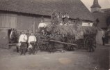 Drittes Reich O.J. Fotokarte/Landwirtschaft/Guott help! 2-3
