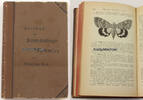 Deutsches Reich Alexander Bau / Handbuch für Schmetterlings-Sammler -