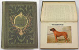 Deutsches Reich Ed. Czynk, E. v. Dombrowski, O. Grashey u. a. / Die Hohe Jagd -