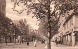 Dessau(4500 Ost) Ak.Dessau.Kavalierstraße. -
