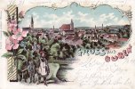 Guben(7560 Ost) 1901 Lithographie/Gruss aus Guben 2