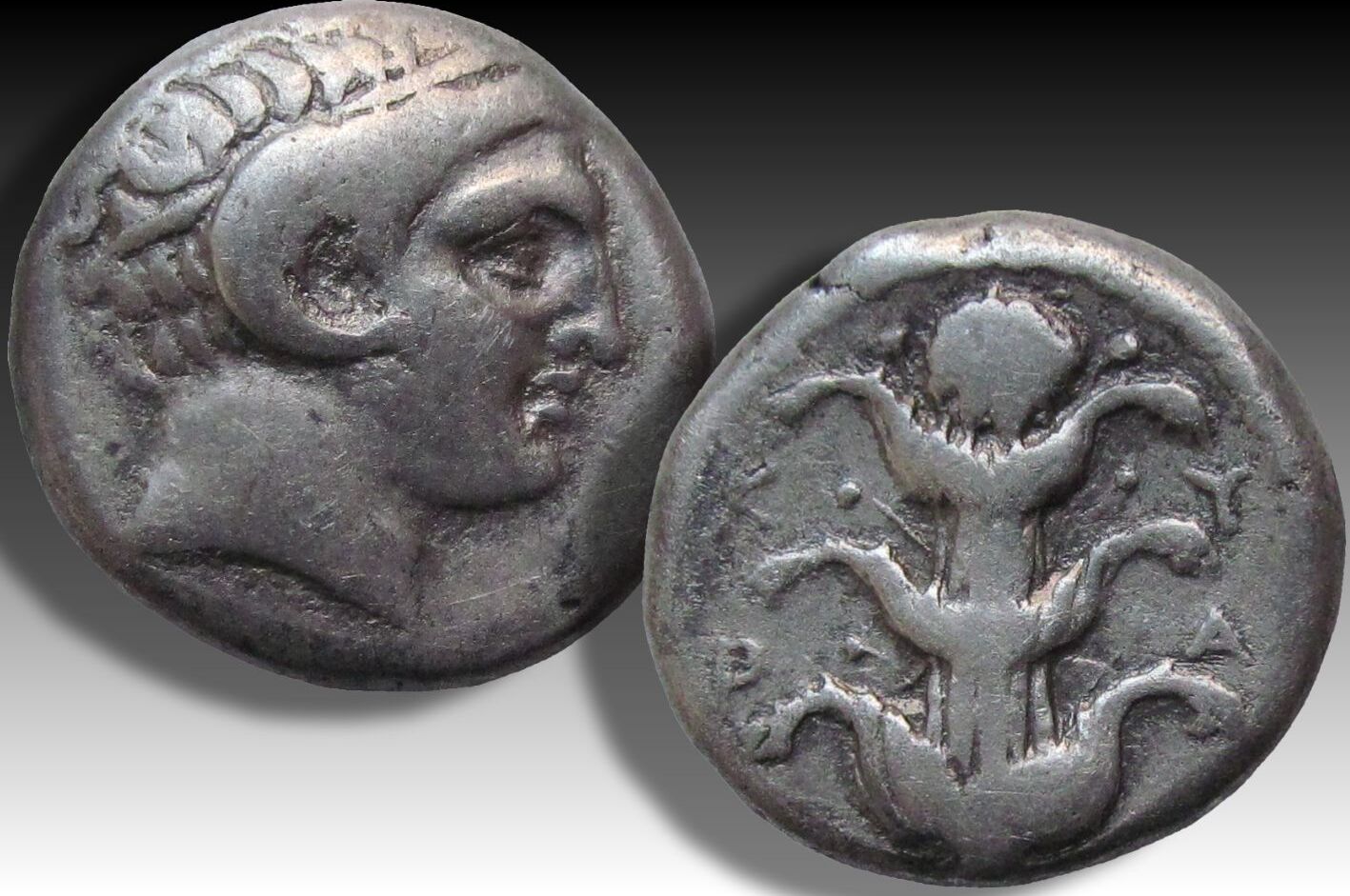 ANCIENT GREECE AR Didrachm Circa 294-275 B.C. KYRENAICA / Cyrenaica ...