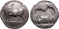 Greek coins 530-510 BC Lucania Sybaris EXF
