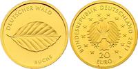 Deutschland 20 Euro Serie "Deutscher Wald" - Buche