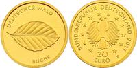 Deutschland 20 Euro Serie "Deutscher Wald" - Buche