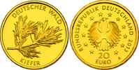 Deutschland 20 Euro Serie "Deutscher Wald" - Kiefer
