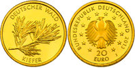 Deutschland 20 Euro Serie "Deutscher Wald" - Kiefer