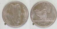 Irland 1 Penny Kursmünze -