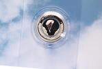 Bundesrepublik Deutschland 10 Euro BRD. -