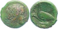 Sicilia AE 19 Stadt. Akragas -