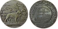 Frankreich Medaille Bronze versilbert Carcassonne (Languedoc) - auf die Hundeausstellung, Societé Camine du Languedoc - Exposition de Carcassonne, d -