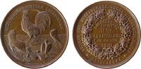 Tiere Medaille Bronze Heidelberg - auf die II. Ausstellung des Vereins für Vogelschutz, Vogel- und Geflügelzucht., Hahn über Henne und zwei Tau -