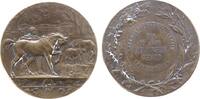 Landwirtschaft Medaille Bronze Frankfurt - auf die 50-Jahrfeier des landwirtschaftlichen Vereins, Junger Mann mit Pferden / Mehrzeiler, v. Dubois, ca. 4 -