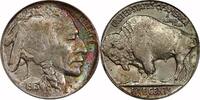 USA 5¢ 1913-D Buffalo Nickel, 1913-D, Type 2, 5¢, MS62 , PCGS MS62 293,10 EUR  zzgl. 38,65 EUR Versand