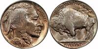 USA 5¢ 1928-D Buffalo Nickel, 1928-D, 5¢, MS65 , PCGS/CAC MS65 563,65 EUR  zzgl. 38,65 EUR Versand