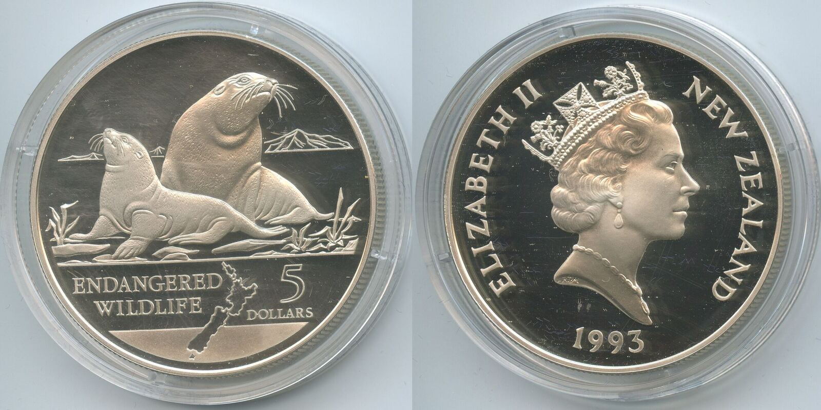 Neuseeland 5 Dollars Silber 1993 G0094 - Seelöwen - Hooker Sea Lions