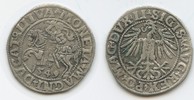 Polen-Litauen Halbgroschen M#3650 - Sigismund August 1544-1572