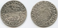 Polen-Litauen Halbgroschen M#3651 - Sigismund August 1544-1572