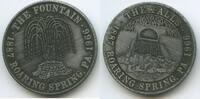 Medaille M229 - USA Roaring Spring, PA 1887-1966 The Falls, The Fountain -