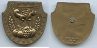 Abzeichen A748 - Kärntner Erntedank 1966 Kärnten Lindwurm Klagenfurt -