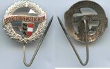 Abzeichen A848 - Kärnten Sportehrenzeichen Anstecker versilbert -