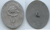 Abzeichen A868 - Gausingen Feldkirchen I. Kärnten 1863-1963 Anstecker -