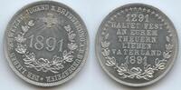 Schweiz Eidgenossenschaft Medaille M#7415 - Erinnerung an die Bundesfeier der Lieben Schweizer Jugend 1291-1891 -
