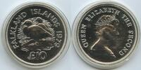 Falkland Inseln 10 Pounds Silber PA270 - Flightless Steamer Ducks - Elisabeth II. Falkland Islands Malwinen -