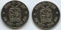 Israel Medaille Souvenier Token G16157 - Ein Gedi - Dead Sea -