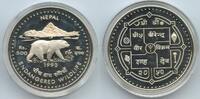 500 Rupees Silber 1993 (VS2050) Nepal Shah Dynasty G0035 - Schwarzbär Himalayan Black Bear - Birendra Bir Bikram Polierte Platte