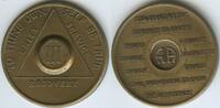 Vereinigten Staaten von Amerika Medaille M390 - USA Unity Service Recovery - To Thine Own Self Be True -