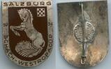 Österreich Salzburg Abzeichen Anstecknadel versilbert GY444 - Schach Westropacup -