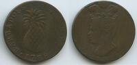 Barbados 1 Penny Notmünze G16168 - RAR - Ananas - Barbadoes -