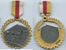Österreich Kärnten Große Medaille teilvergoldet A217 - Unterburg am Klopeiner See Kärnten -