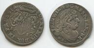 Brandenburg-Preußen 6 Gröscher G3833 - Hohenzollern - Friedrich Wilhelm 1640-1688 -