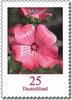 Bund Bund, Michel Nr. 2462 postfrisch - Freimarken Blumen: 25 cent Malve -
