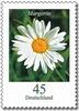 Bund Bund, Michel Nr. 2451 postfrisch - Freimarken Blumen: 45 cent Margerite -