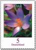 Bund Bund, Michel Nr. 2480 postfrisch - Blumen 5 cent - Krokus -