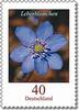 Bund Bund, Michel Nr. 2485 postfrisch - Freimarke Blumen: 40 cent Leberblümchen -