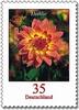 Bund Bund, Michel Nr. 2505 postfrisch - Freimarken Blumen: Dahlie -