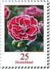 Bund Bund, Michel Nr. 2694 postfrisch - Freimarken Blumen: 25 cent Gartennelke -