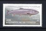 Bund Bund, Michel Nr. 3051 postfrisch - Wiederansiedlung von Fischarten (I), Atlantischer Lachs -