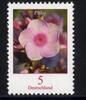 Bund Bund, Michel Nr. 3296 postfrisch - Freimarke Blumen 5 cent Flammenblumen (Phlox sp.) -