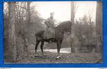 Allemagne Carte photo militaria Cavalier Allemand - vierge au dos -