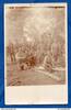 Allemagne Carte photo militaria Soldats Allemands -- Corvée de bois -