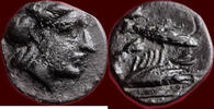 AE MYSIA, PRIAPOS - AE 9, circa -
