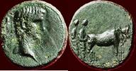 Roman Empire AE AUGUSTUS, - 14 AD - MACEDONIA, PHILIPPI - AE 19 -