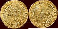 NOORDELIJKE NEDERLANDEN (NETHERLANDS) - BISDOM UTRECHT - DAVID VAN BOURGONDIË, 1455-1496 - Davidsgulden z.j. , Rhenen of Wijk bi -