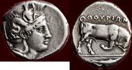 tetradrachm 400 - 350 BC v. Chr.  LUCANIA, THOURIOI - AR Distater or  400 - 350 BC ss